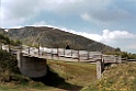 rebe ponte polle